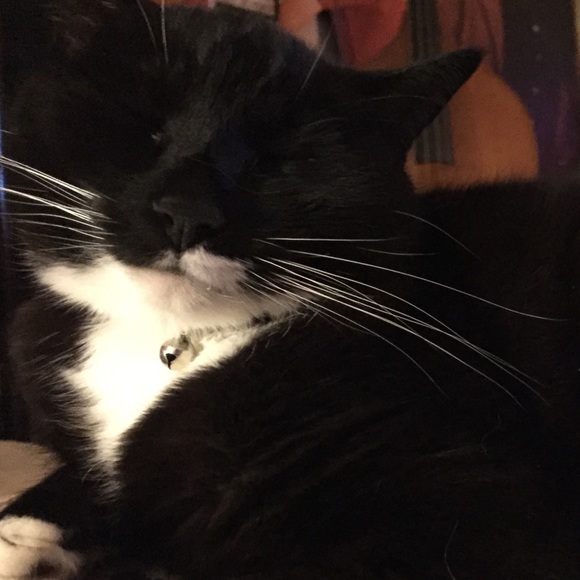 Meet your Posher - Picture 1 of 1